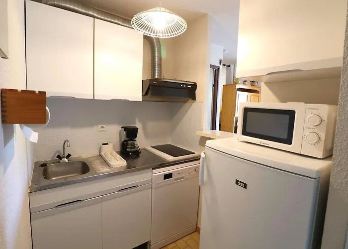 2p Proche Avec Garage, Lumineux Et Bien Situe Au Grau-du-roi - Fr-1-307-136 Le Grau-du-Roi