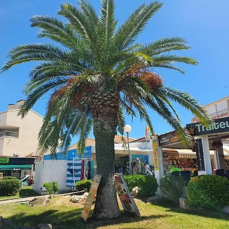 2p Proche Avec Garage, Lumineux Et Bien Situe Au Grau-du-roi - Fr-1-307-136 Apartman Le Grau-du-Roi