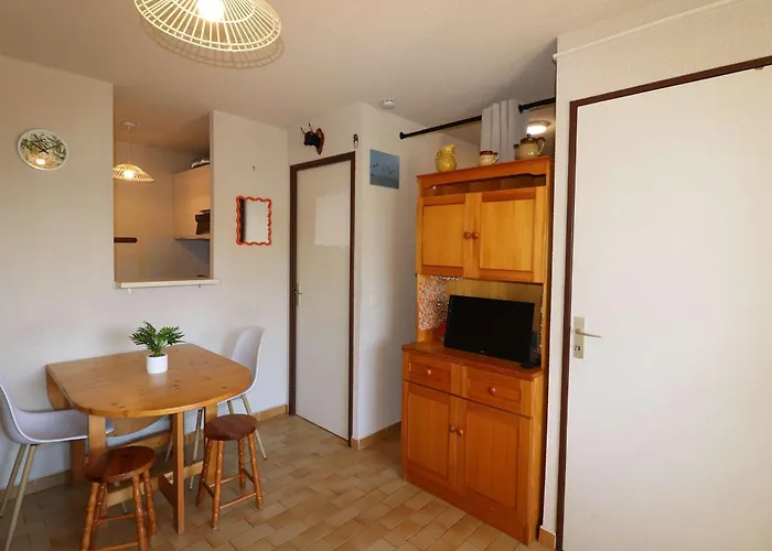 2p Proche Avec Garage, Lumineux Et Bien Situe Au Grau-du-roi - Fr-1-307-136 Daire Le Grau-du-Roi